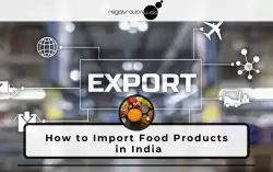 Learn How to Start Food Import Business In India