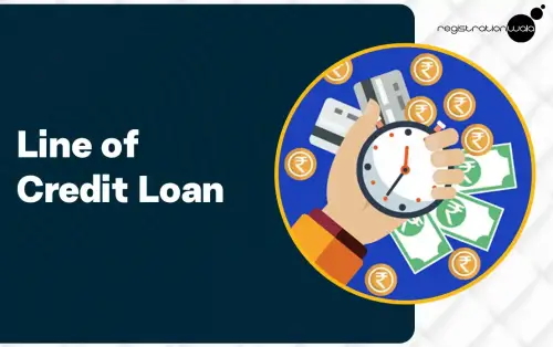 What is the line of credit loan?