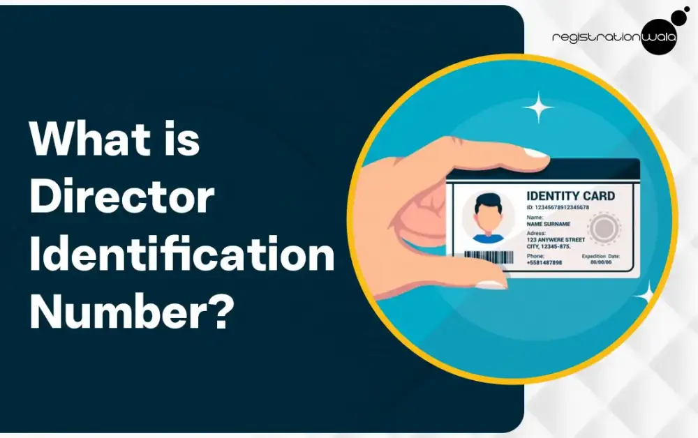 What is Director Identification Number (DIN)?