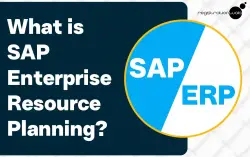 What is SAP Enterprise Resource Planning?