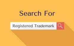 How To Check or Search Registered Trademarks in India?