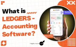 What is LEDGERS - Accounting  Software?