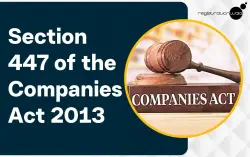 Understand Section 447 of the Companies Act 2013