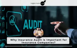 Why Insurance Audit is Important for Insurance Companies?